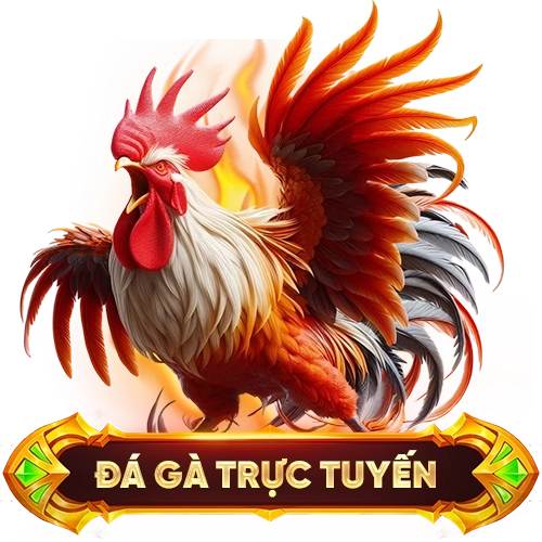 đá gà trực tuyến 988BET